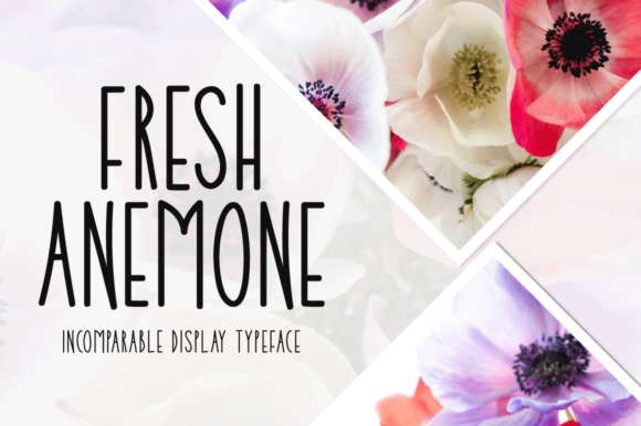 Fresh Anemone: A Font That Brings Joy to Your Brand