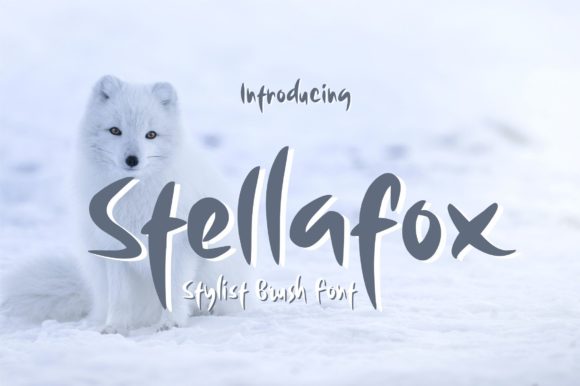 Stellafox: The Font That Elevates Your Campaigns